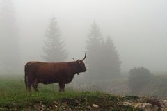 Der Weg zur Zugspitze