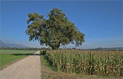 der Weg zurück!!!