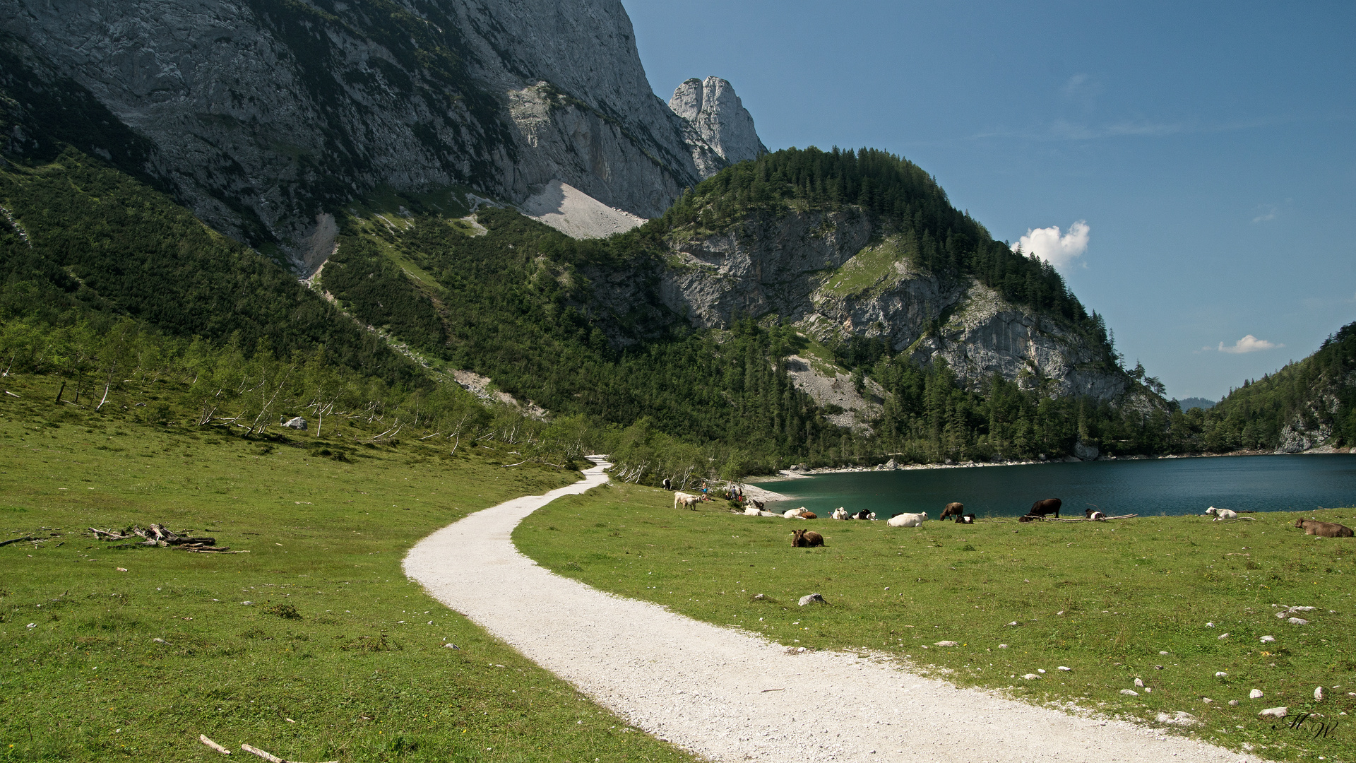 der Weg zurück 2