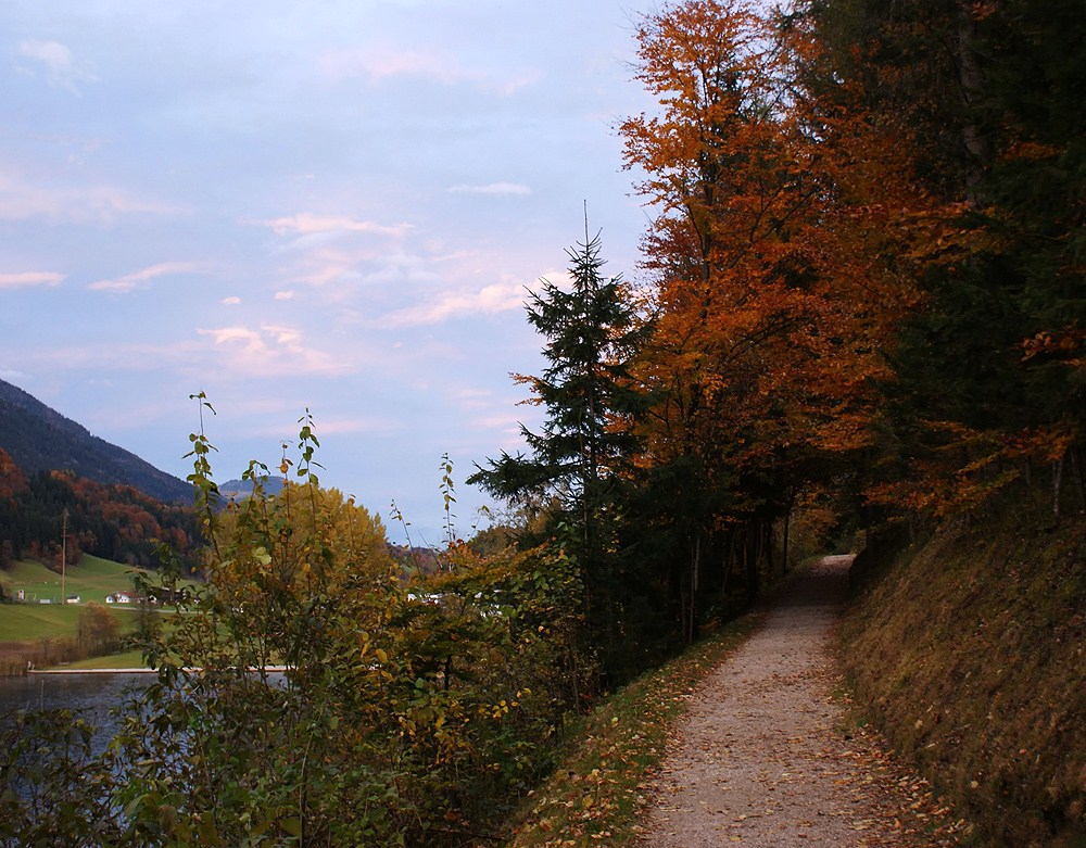 Der Weg zurück.