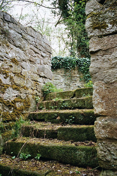 Der Weg zurück II von Der Mammi