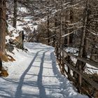 der Weg zurück ins Dorf