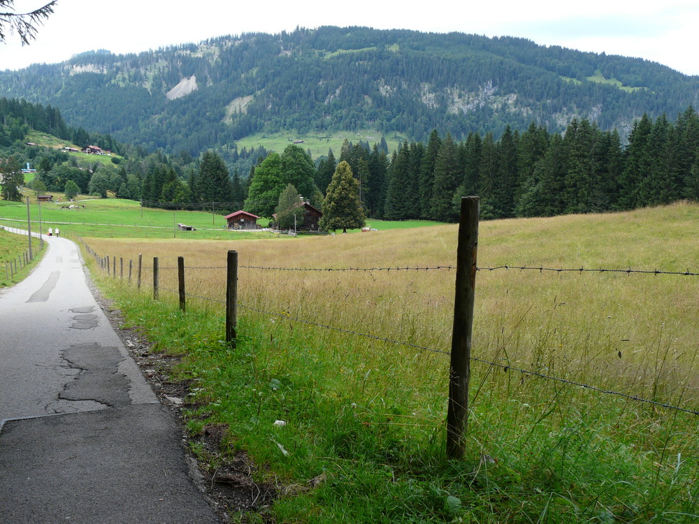 der Weg zurück ins Tal