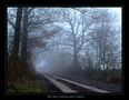 Der Weg zwischen den Feldern von Ulrich E