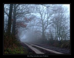 Der Weg zwischen den Feldern