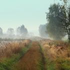 Der Weg zwischen Feld und Wiesen