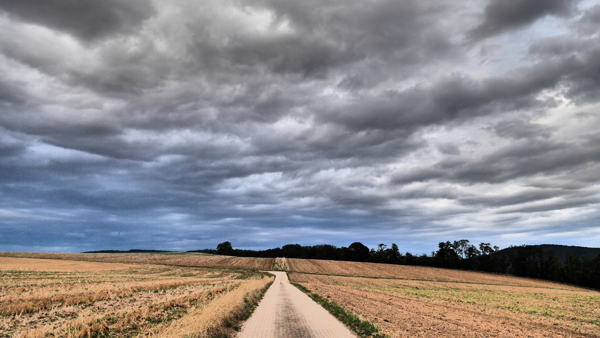 Der Weg - zwischen Getreidefeld und Himmel