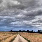 Der Weg - zwischen Getreidefeld und Himmel