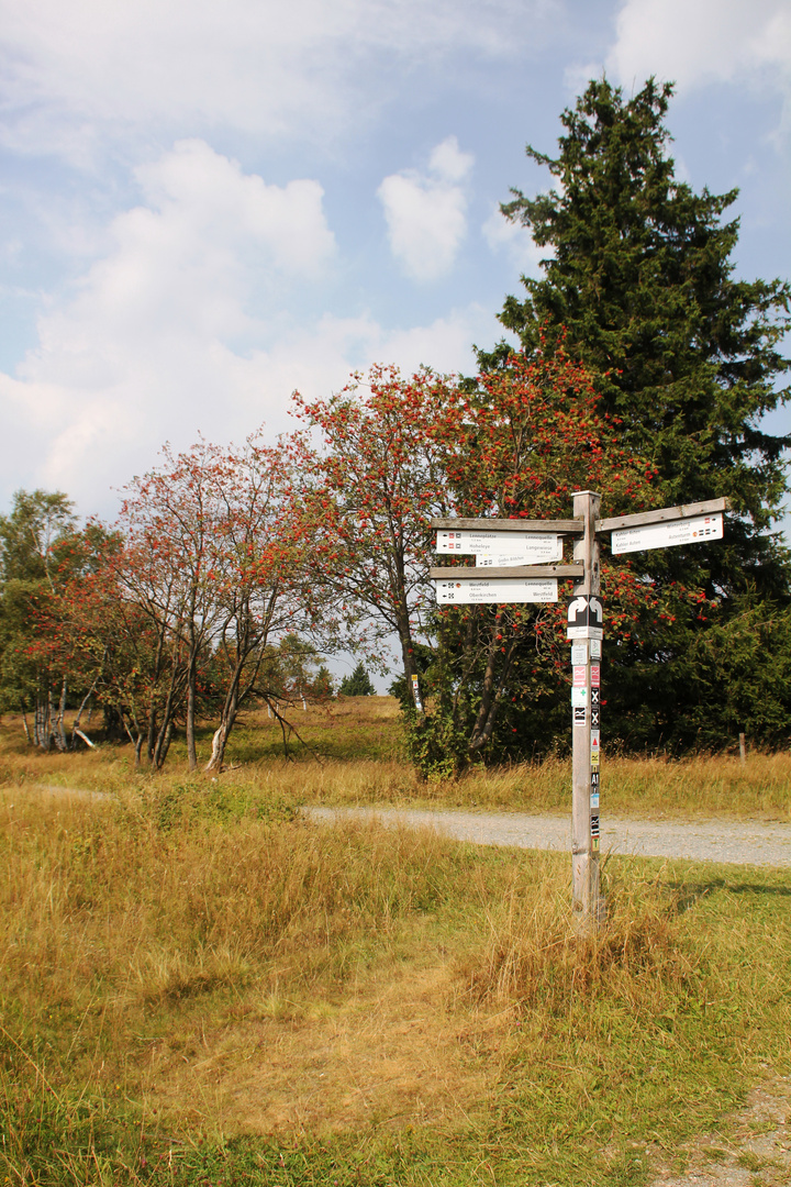 Der Wegweiser