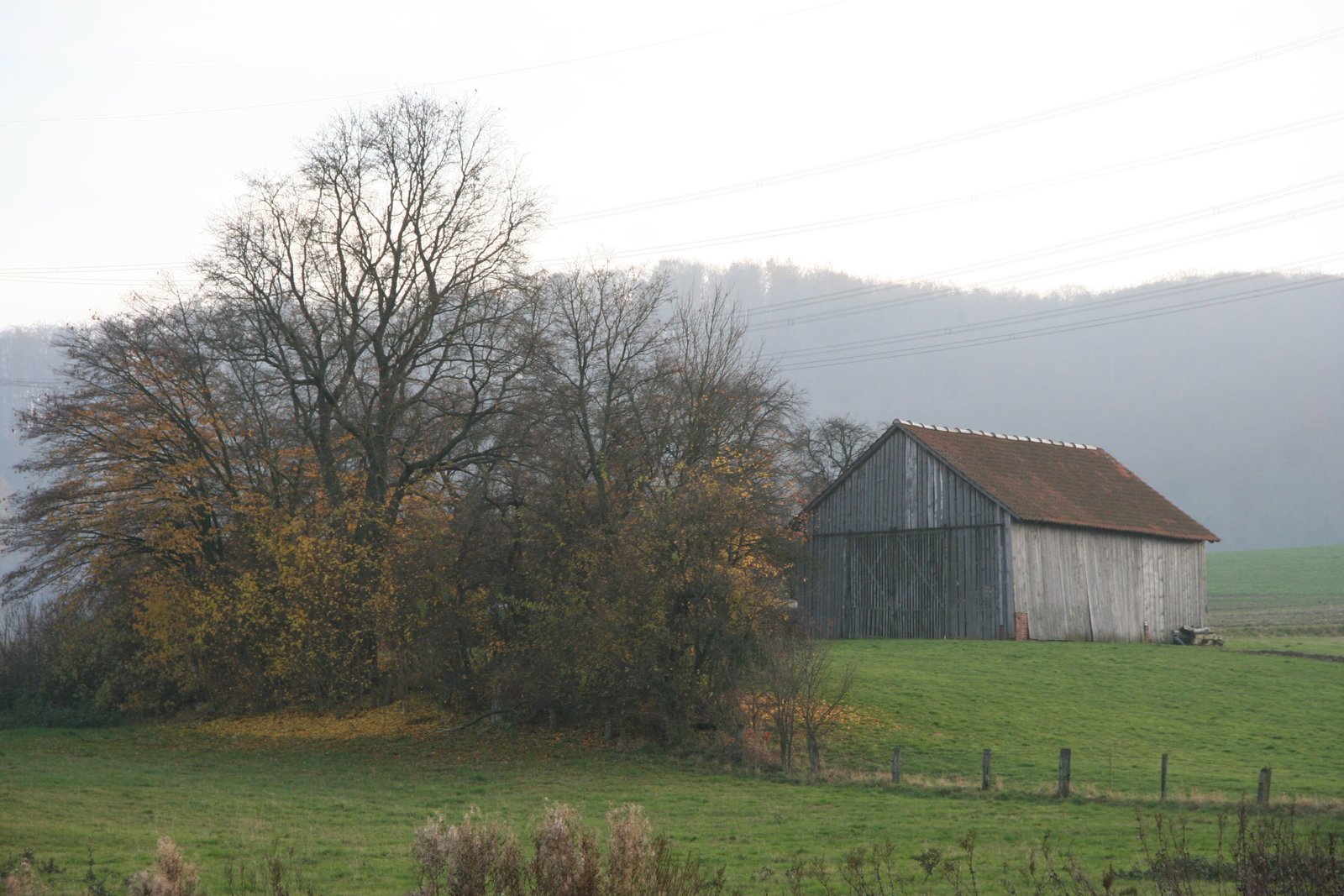 Der Weideschuppen