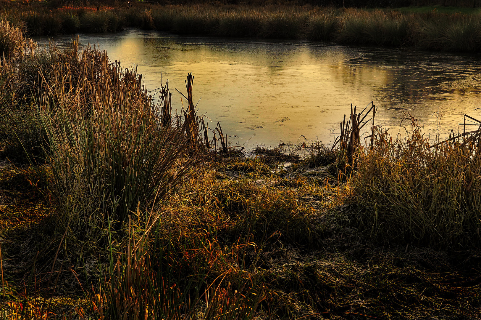 Der Weiher 