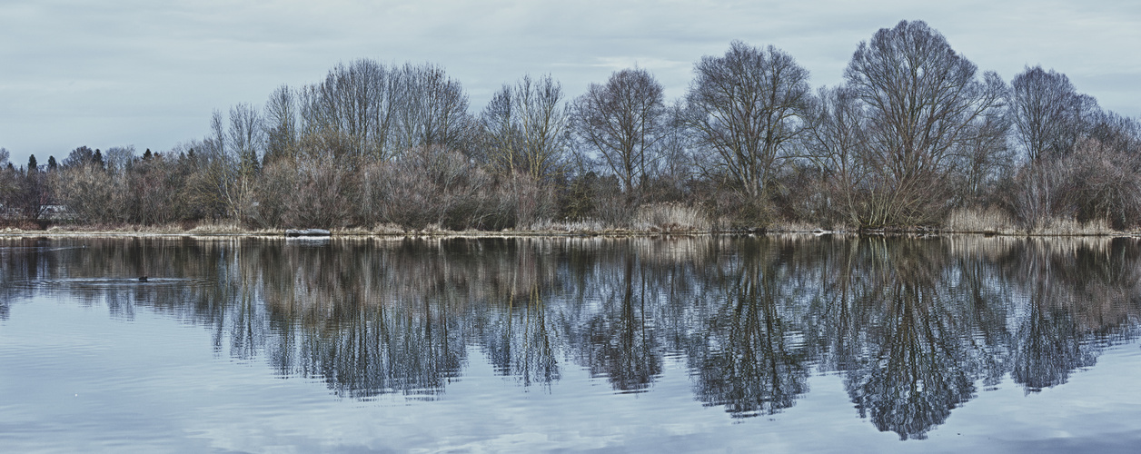 Der Weiher