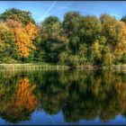 Der Weiher