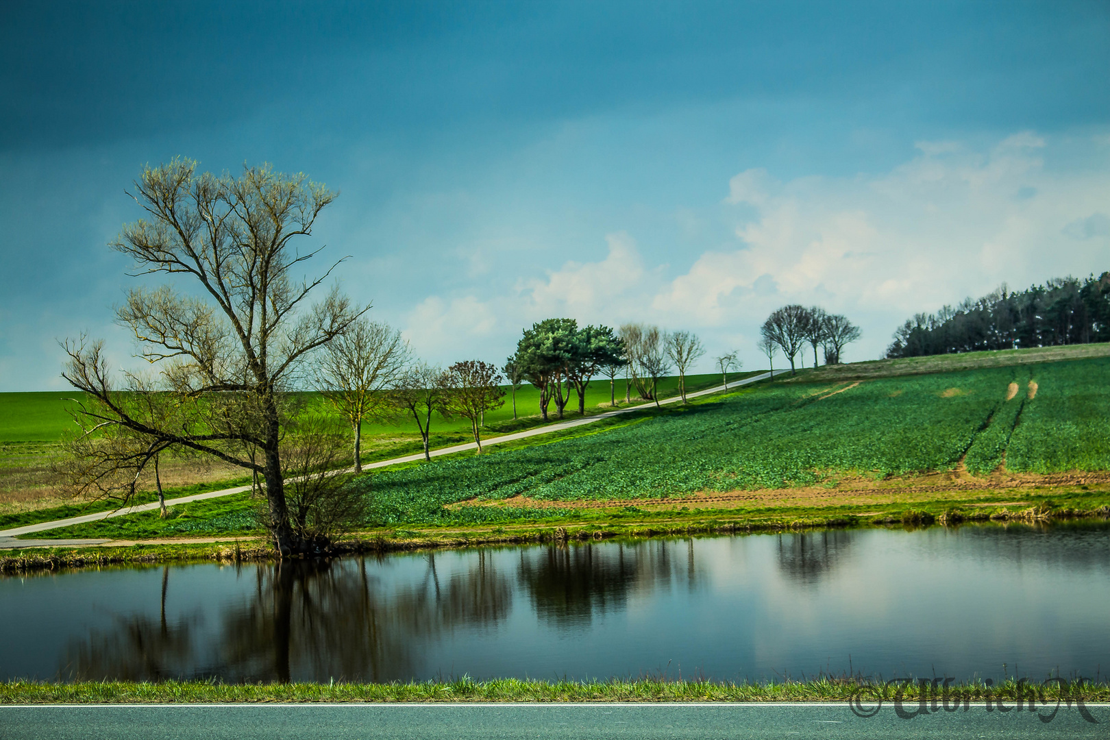 Der Weiher