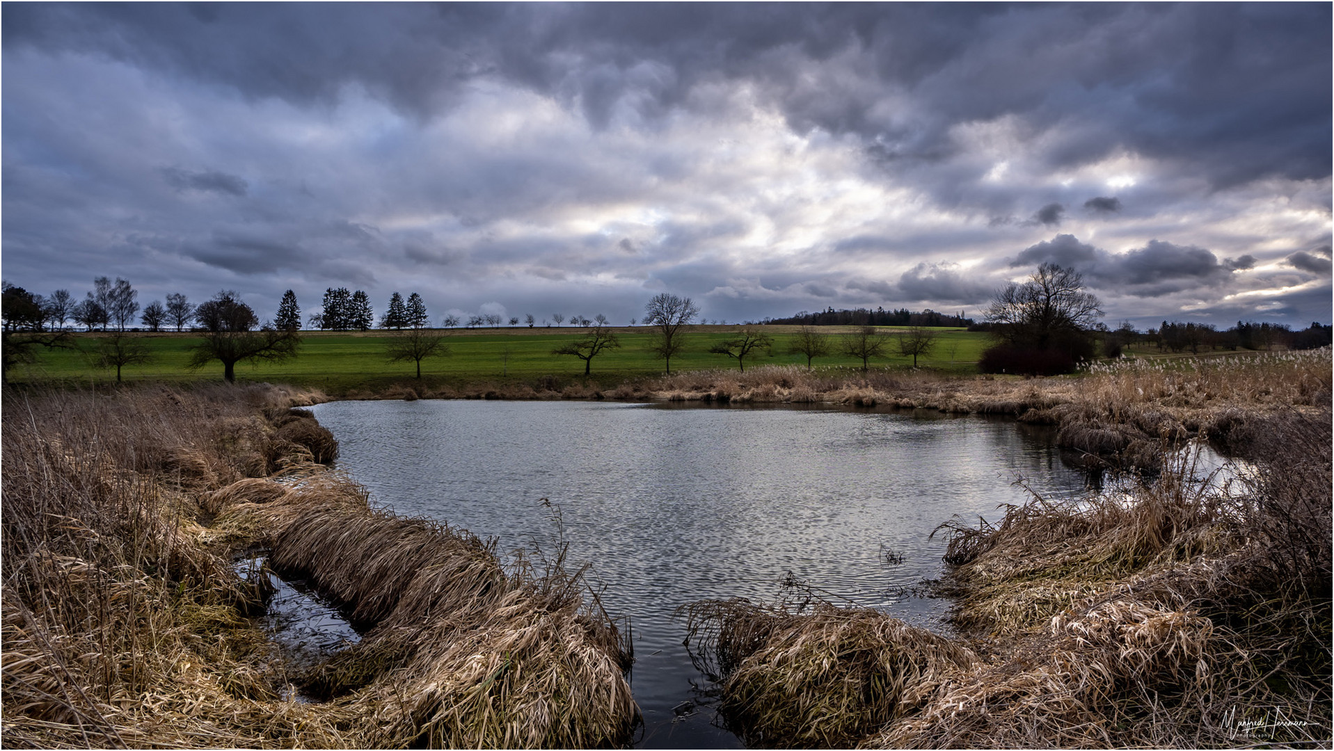 Der Weiher