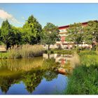 Der Weiher am Gradierwerk