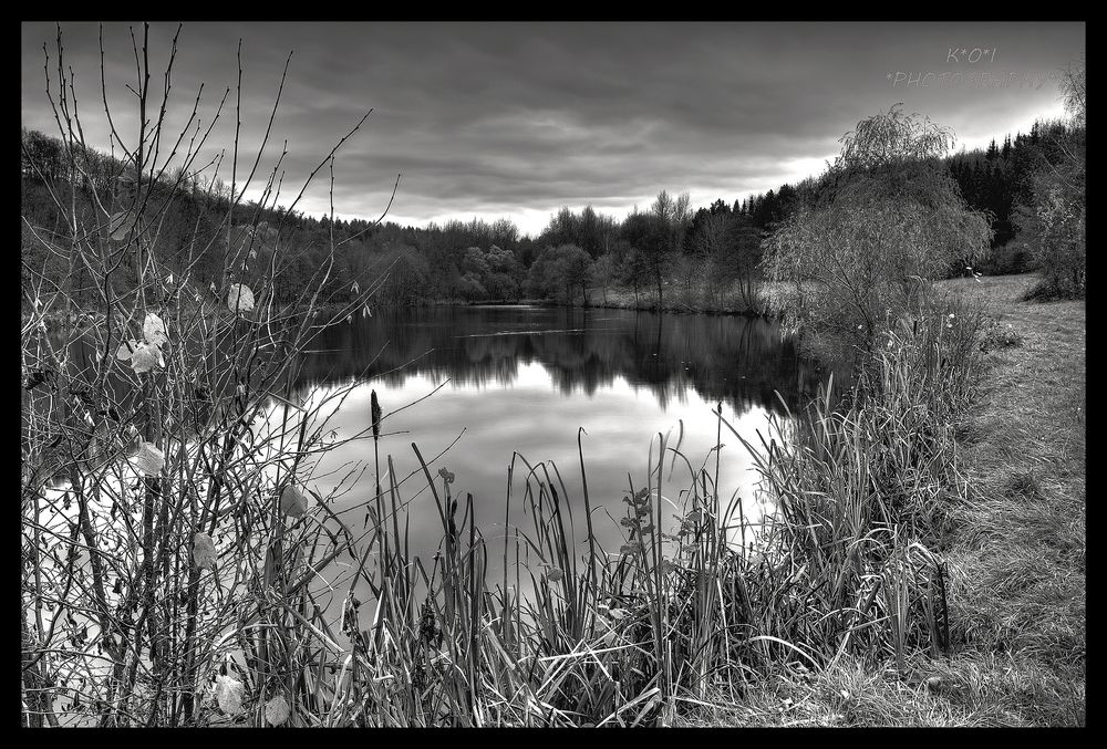 DER WEIHER Bild & Foto von Koi83 aus Wasser Fotografie (32740186