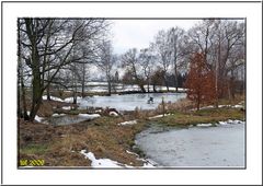 Der Weiher ...