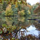 Der Weiher im Walde