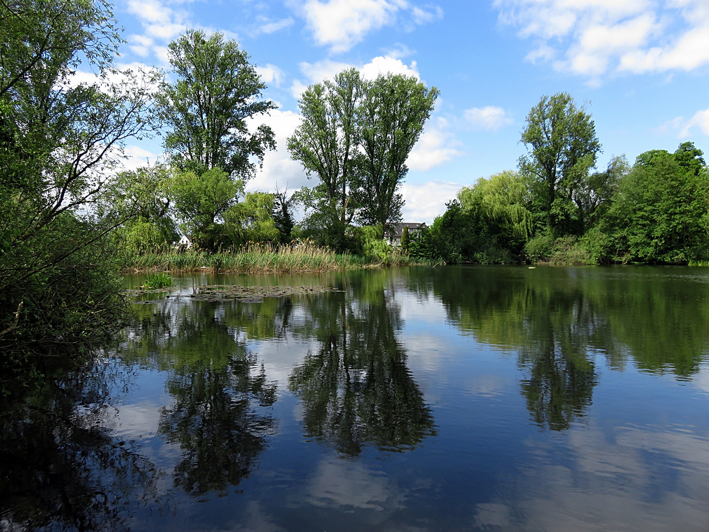 Der Weiher in Grouven 