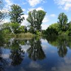 Der Weiher in Grouven 