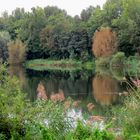 Der Weihersee in Ludwigshafen