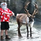 Der Weihnachstmann in der Sommerfrische