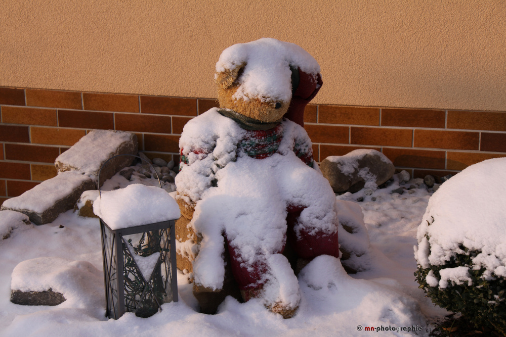 Der Weihnachtsbär mit Laterne - II