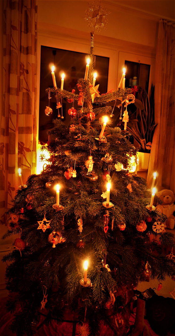 Der Weihnachtsbaum 2019 - Warm wirds in der Stube und im Herzen