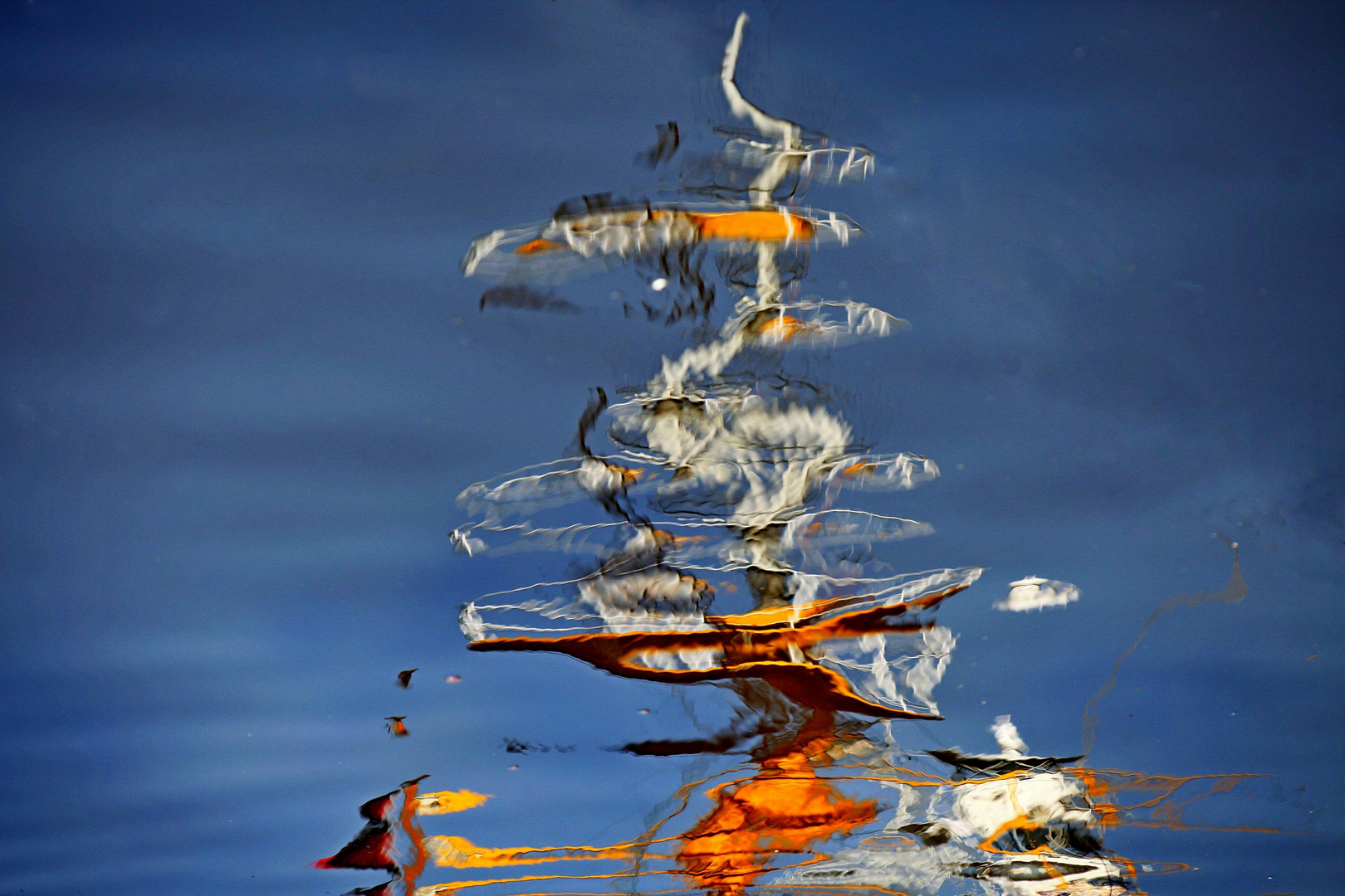 Der Weihnachtsbaum Foto & Bild spezial, wasser, bunt Bilder auf