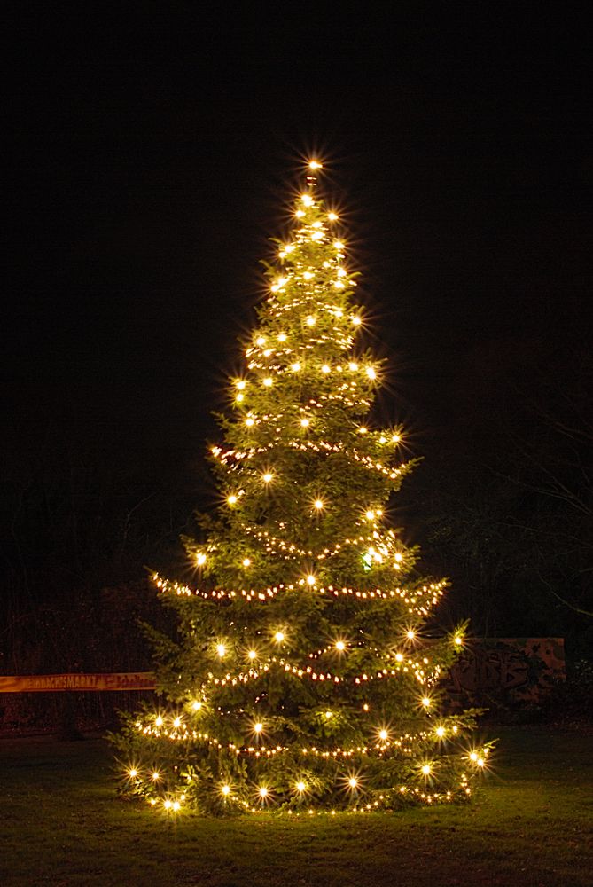 Foto Weihnachtsbaum Kostenlos 2025 Ailee Hermine