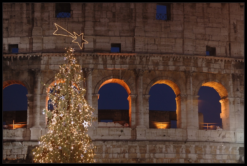 Der Weihnachtsbaum am Kolosseum