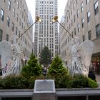 "Der" Weihnachtsbaum am Rockefeller Center