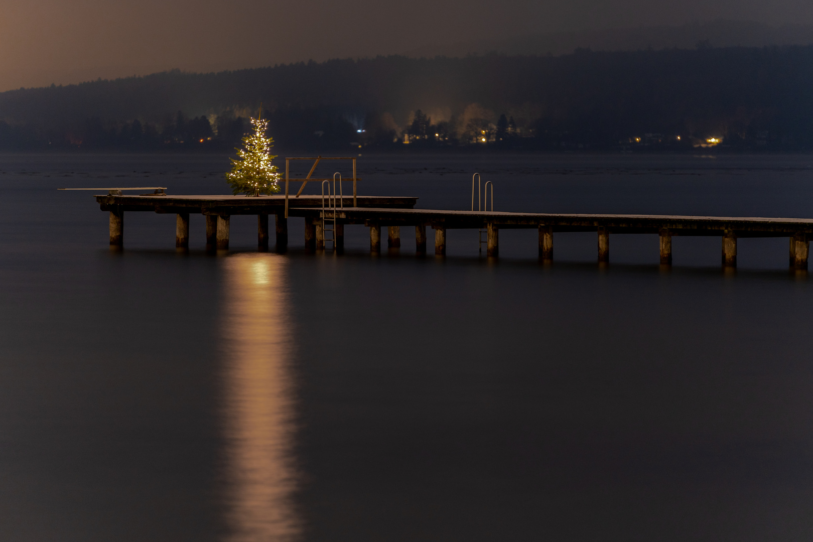 Der Weihnachtsbaum am See