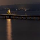 Der Weihnachtsbaum am See