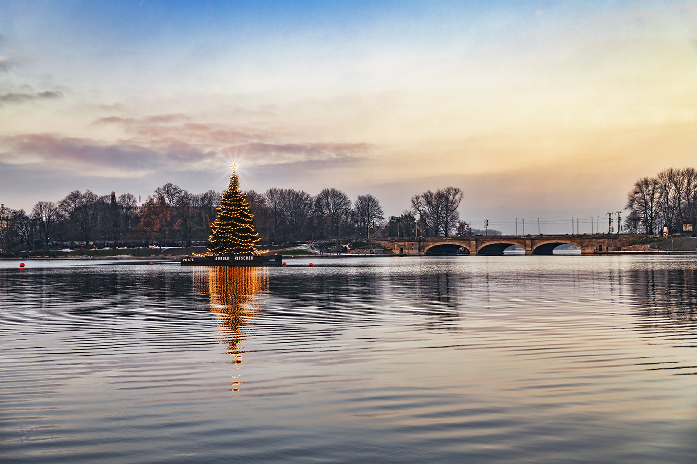 Der Weihnachtsbaum auf der Binnenalster in Hamburg