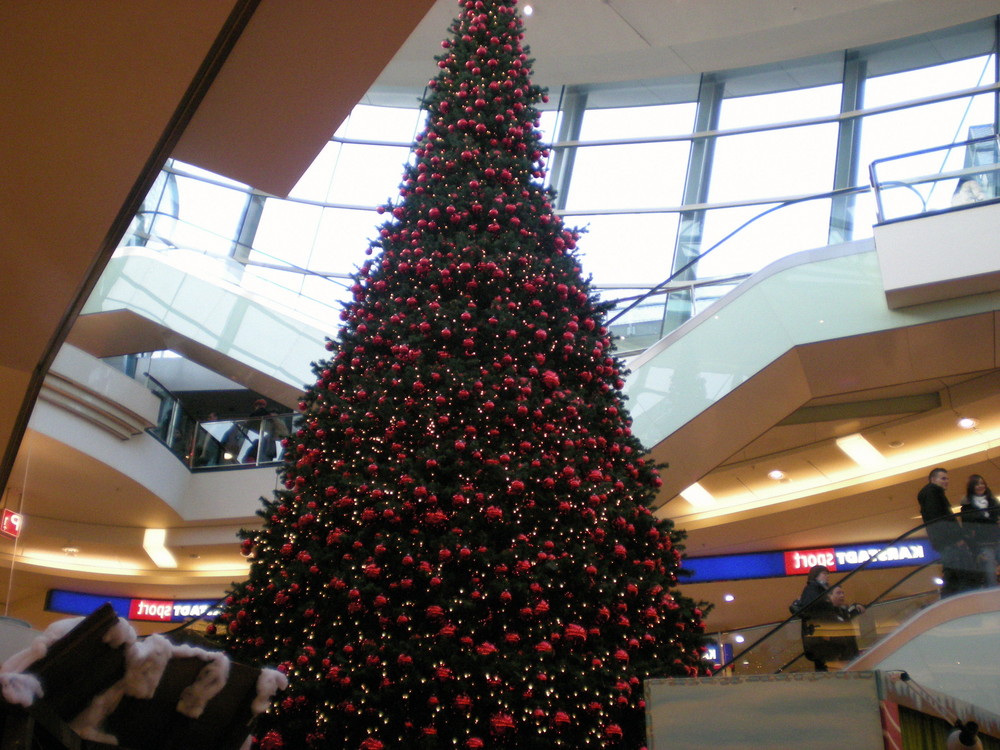 der weihnachtsbaum