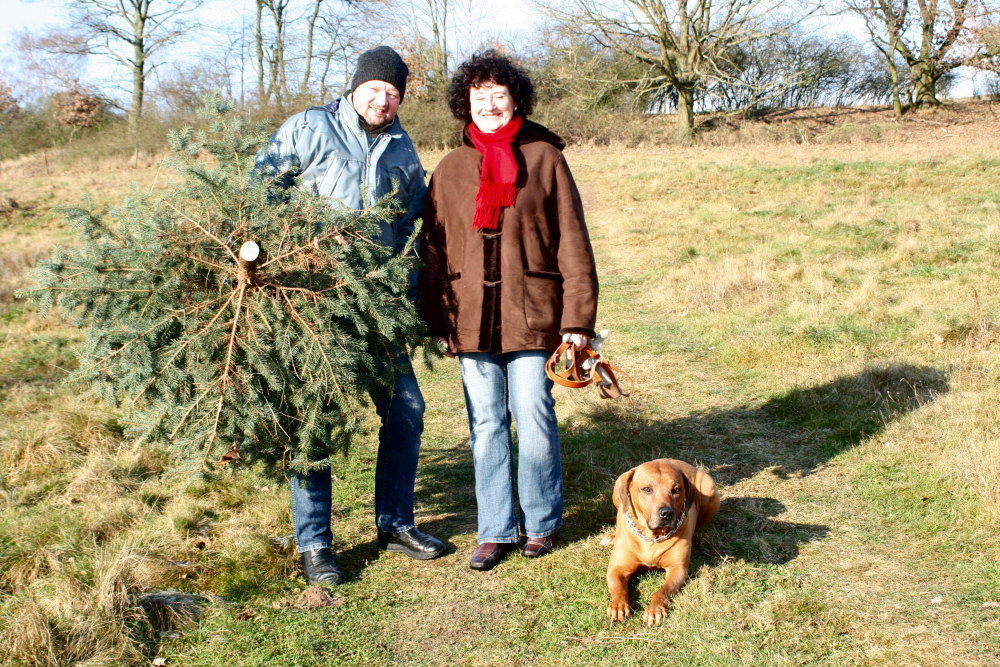 der Weihnachtsbaum