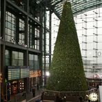 Der Weihnachtsbaum im Hauptbahnhof