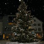 Der Weihnachtsbaum im Schneegestöber ...