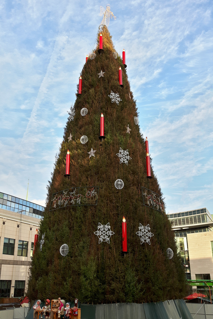der Weihnachtsbaum in Dortmund