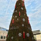 der Weihnachtsbaum in Dortmund