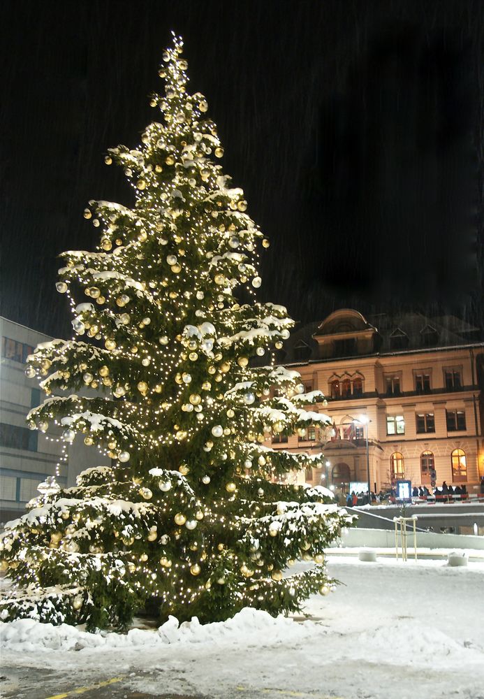 Der Weihnachtsbaum in Ilanz