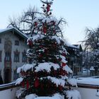 Der Weihnachtsbaum mit den roten Schleifen