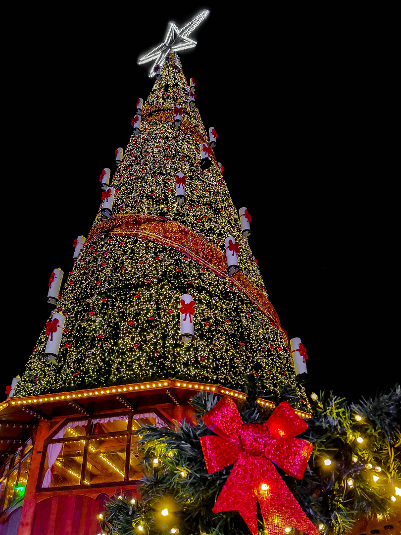 Der Weihnachtsbaum von Crange