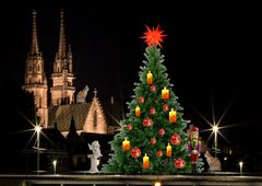 Der Weihnachtsbaum vor dem Baseler Dom