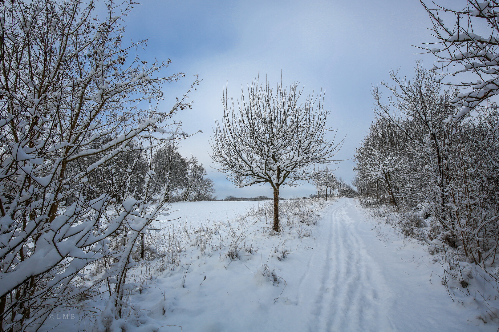 Der Weihnachtsweg