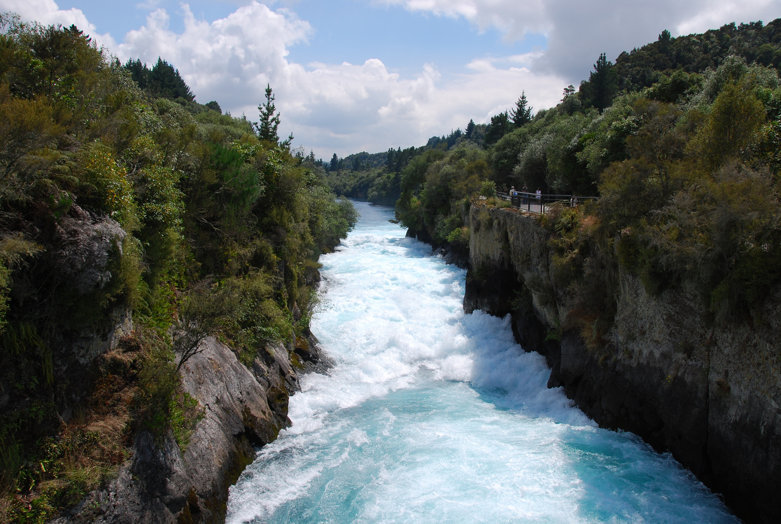 Der Weikato River - Neuseeland