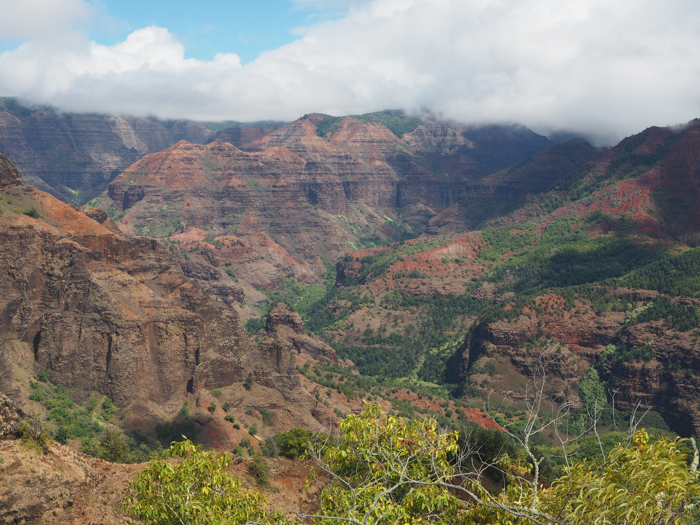 Der Weimea Canyon