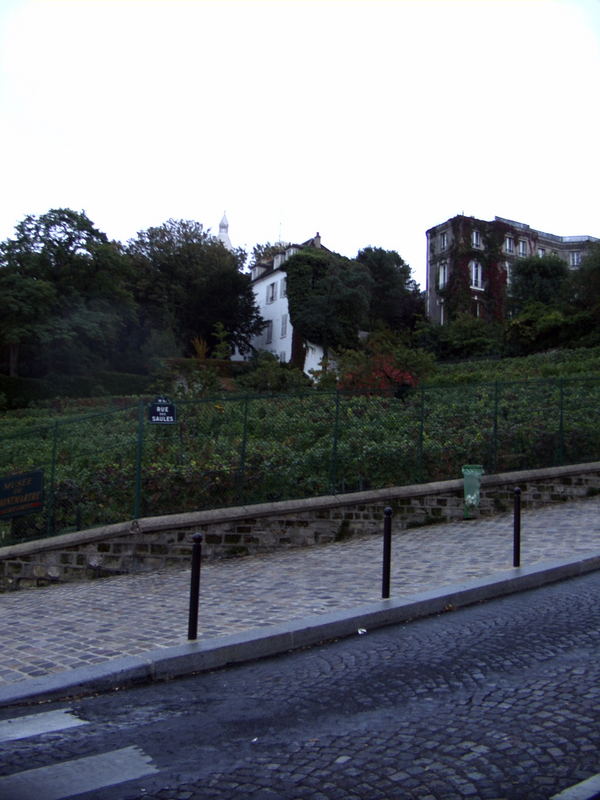 Der Weinberg am Montmartre